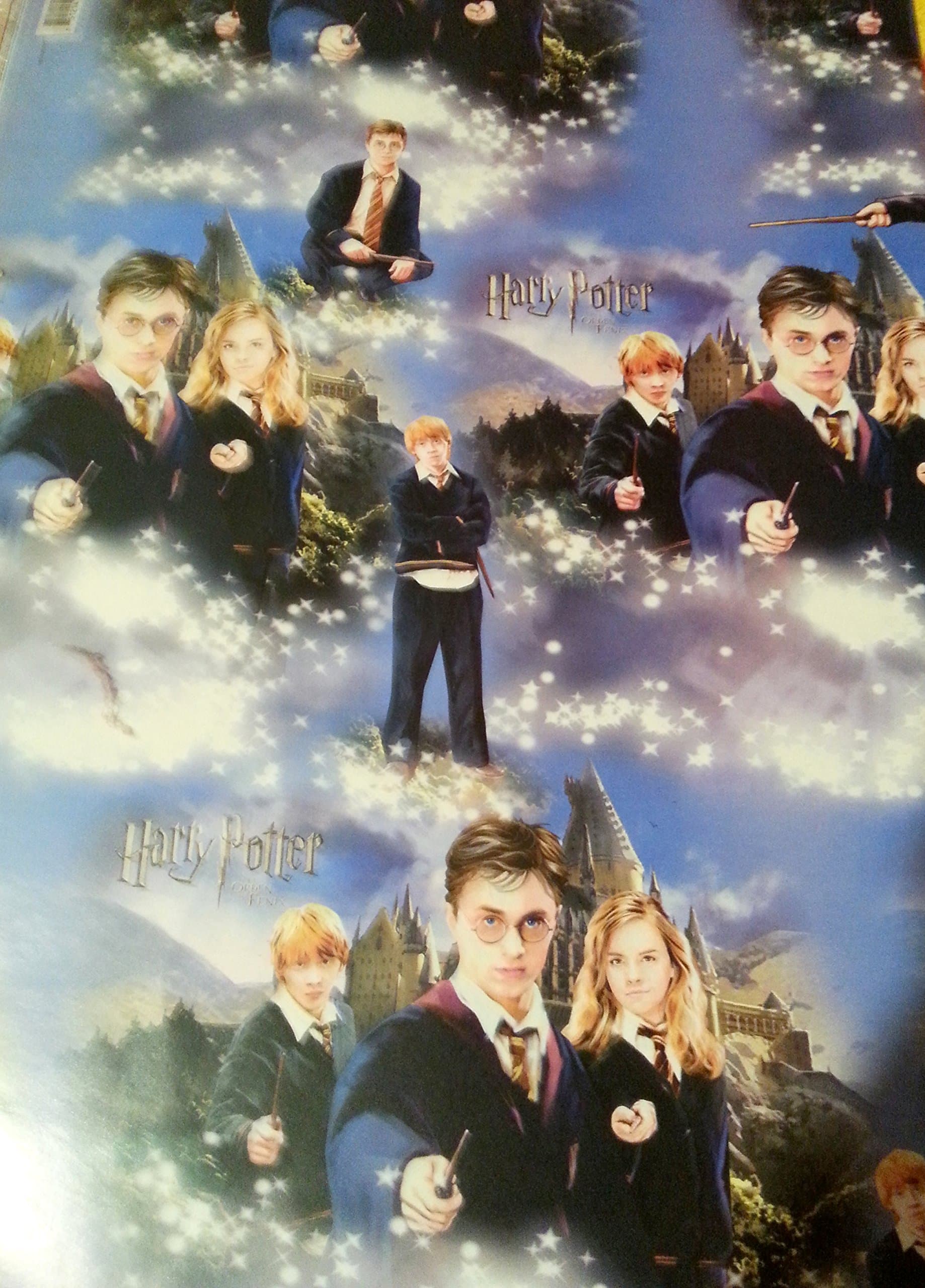 Harry Potter Wrapping Paper 2-Sheets