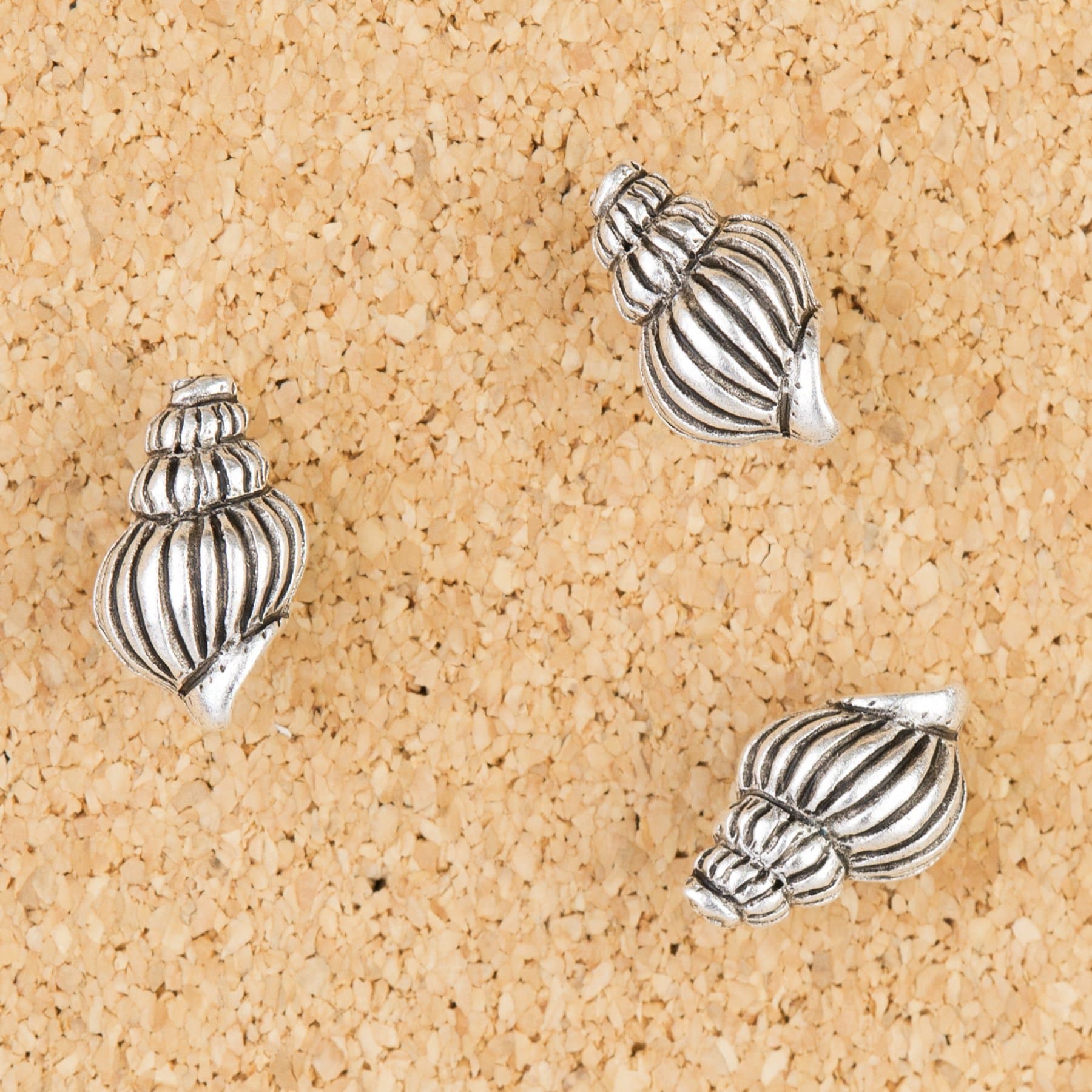 Sea Shell Push Pin