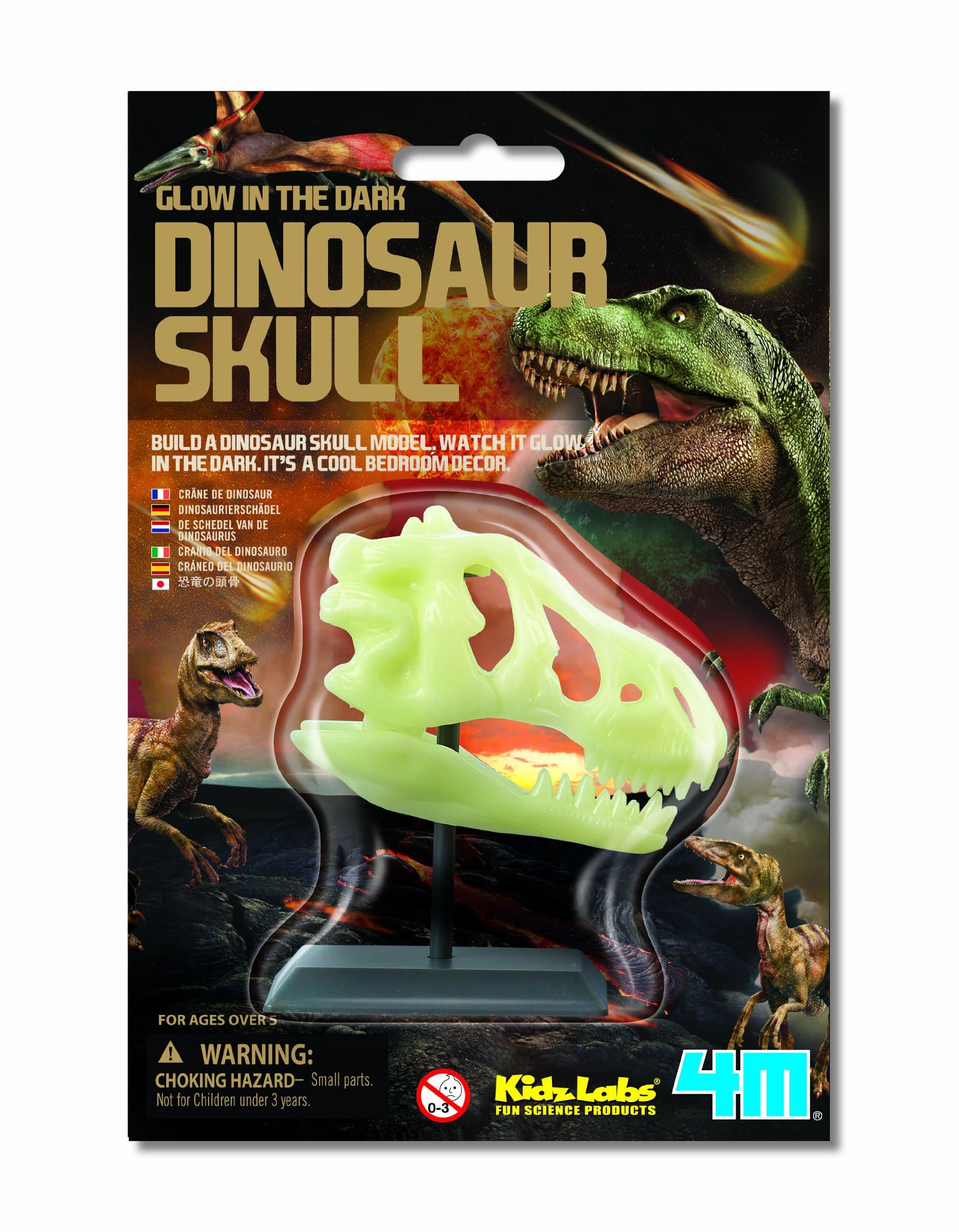 4M Glow in the Dark Dinosaur Skull