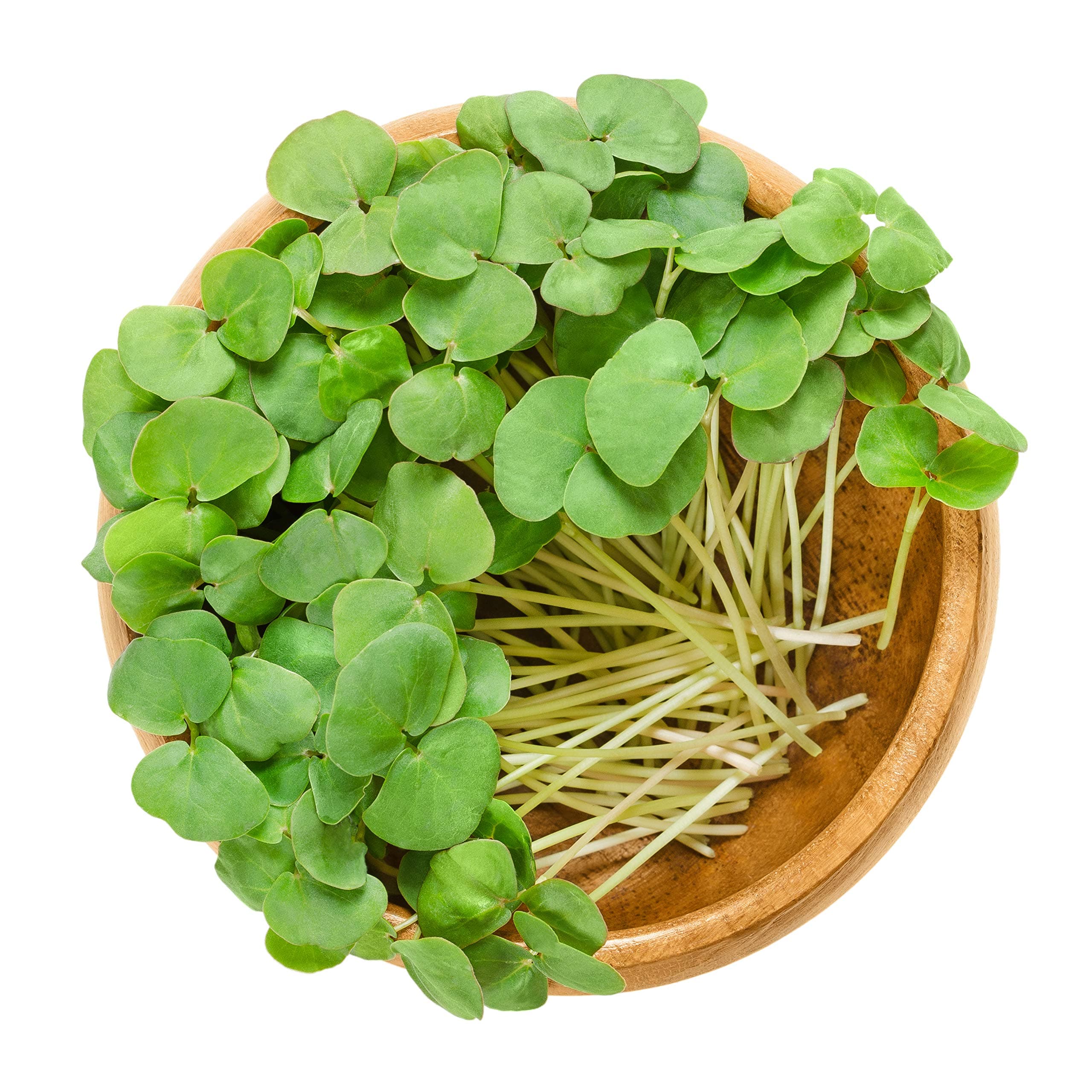 Buckwheat Organic Microgreen Seeds - Non-GMO