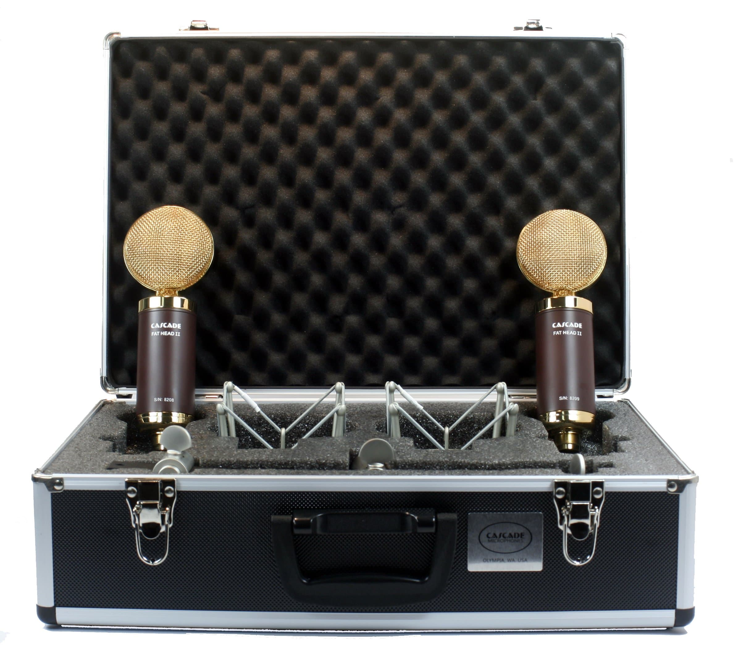 Cascade Microphones990-GL-A Ribbon Microphone