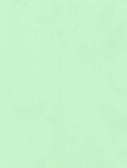 A4 Coloured Paper 80gsm Arts Craft Sheets Bright Pastel Neon Colours Suitable for Laser Inkjet & Copier Printers 100 Sheets (Pastel Green)