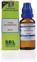 SBLC0 Thuja Occidentalis (30CH) 30 ml || Shophomeo®