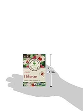 Hibiscus (Pack of 24)