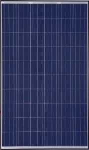 Trina Solar 40mm 245W Poly BLK/WHT Solar Panel - Pack of 4