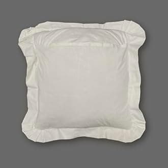 MODERN HEIRLOOM Embroidered and LACE 2-PC Pillow Decorative Pillow Set, 16 inches, Constance Ecru 16" 2 Count