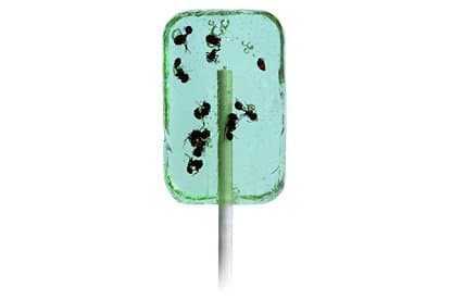 HOTLIX ANT-LIX SUCKER APPLE