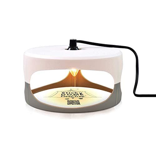 ASPECTEK - Trapest Sticky Dome Flea Bed Bug Trap with 2 Glue Discs. Odorless Non-Poisonous and Natural Flea Killer Trap Pad, Family, Children and Pets Friendly (Flea Trap)