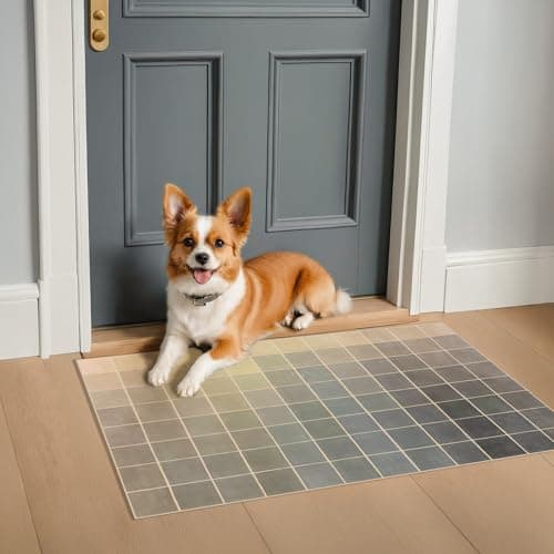 Gray Checkered 2x3 Rug