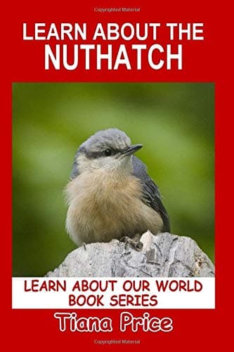 Learn About the Nuthatch