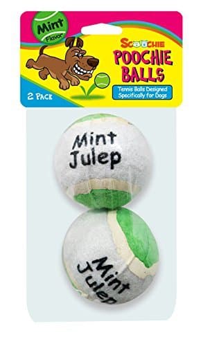 Scoochie Poochie 2 Pack Mint Flavored Tennis Balls | 2 Pack Tough Balls for Dogs