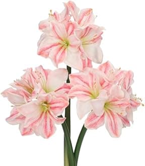 Oairse 3PCS Amaryllis Artificial Flowers 17.3 Inch Faux Amaryllis Lily Flowers Stems with 4 Heads Silk Floral Bouquet for Christmas Home Room Table Centerpiece Wedding Party Arrangements