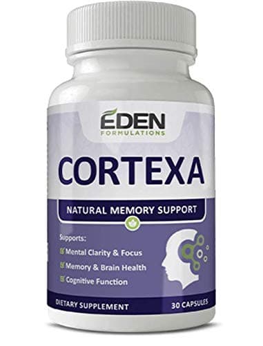 Cortexa : Natural Memory Support