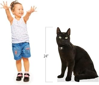 CAT - Black - Life Size Cardboard Cutout Standup People with Support Standee | Animals -