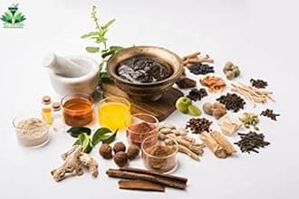 SAI HERBS Khus Root - Vettiver Roots - Lavancha - Khas Jad - Vilaamicham - Ramachham - Usira - Chrysopogon Zizanioides - Vetiveria Zizanioides - Pure & Natural (1 KG)