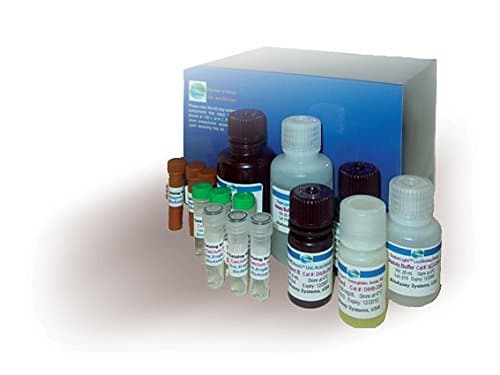 Bilirubin Assay Kit (DIBR-180)