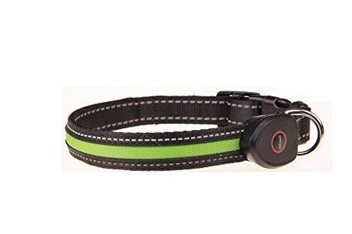 AllBright Led Dog Collar USB Rechargeable