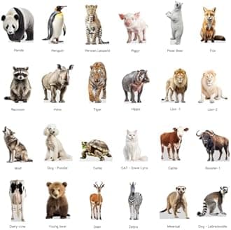 Penguin - Life Size Cardboard Cutout Standup People with Support Standee | Animals -