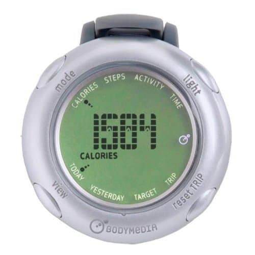 GoWear fit Display Device