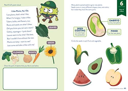 Tinkeractive Workbooks: Kindergarten Science