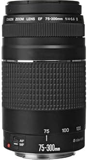 Canon EOS Rebel SL1 + EF-S 18-55mm + EF 75-300mm f/4-5.6 III Lens - digital cameras (Auto, Cloudy, Daylight, Flash, Fluorescent L, Shade, Sunny, Tungsten, Candlelight, Children, Close-up (macro), Landscape, Night portrait, Portrait, Sports, Aperture priority, Auto, Manual, Movie, Program, Scene, Shutter priority, Black&White, Movie, Single image, Optical)