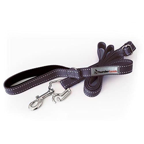ThunderLeash No-Pull Dog Leash (X Small (Under 12 lbs), Black)