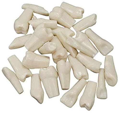 1Sets of 28pcs Teeth Piece for Teaching, Study Suitable for Typodont Teeth Model