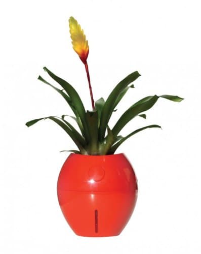 Grobal Self Watering Pot - Sunrise