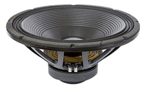 21-in Extended LF Ferrite Audio Transduc