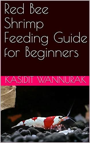 Red Bee Shrimp Feeding Guide for Beginners