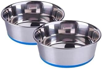 Pets Empire Cat Food Bowl | Stainless Steel Cats Bowl Small Size | Basic Pets Feeding Bowl| Perfect Choice for Cat & Kitten (2 x 200ml)