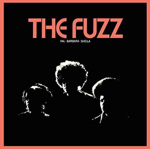 Fuzz