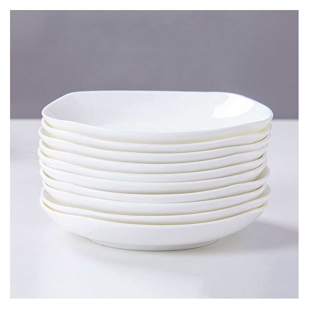 Plates 10 Piece Dinner Plates Kitchen Dinnerware Set for Dishes Appetizer Plate Salad and Dessert Dishes Microwave Oven and Dishwasher Safe Dinner Plates