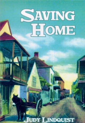 Saving Home Paperback – November 16, 2008