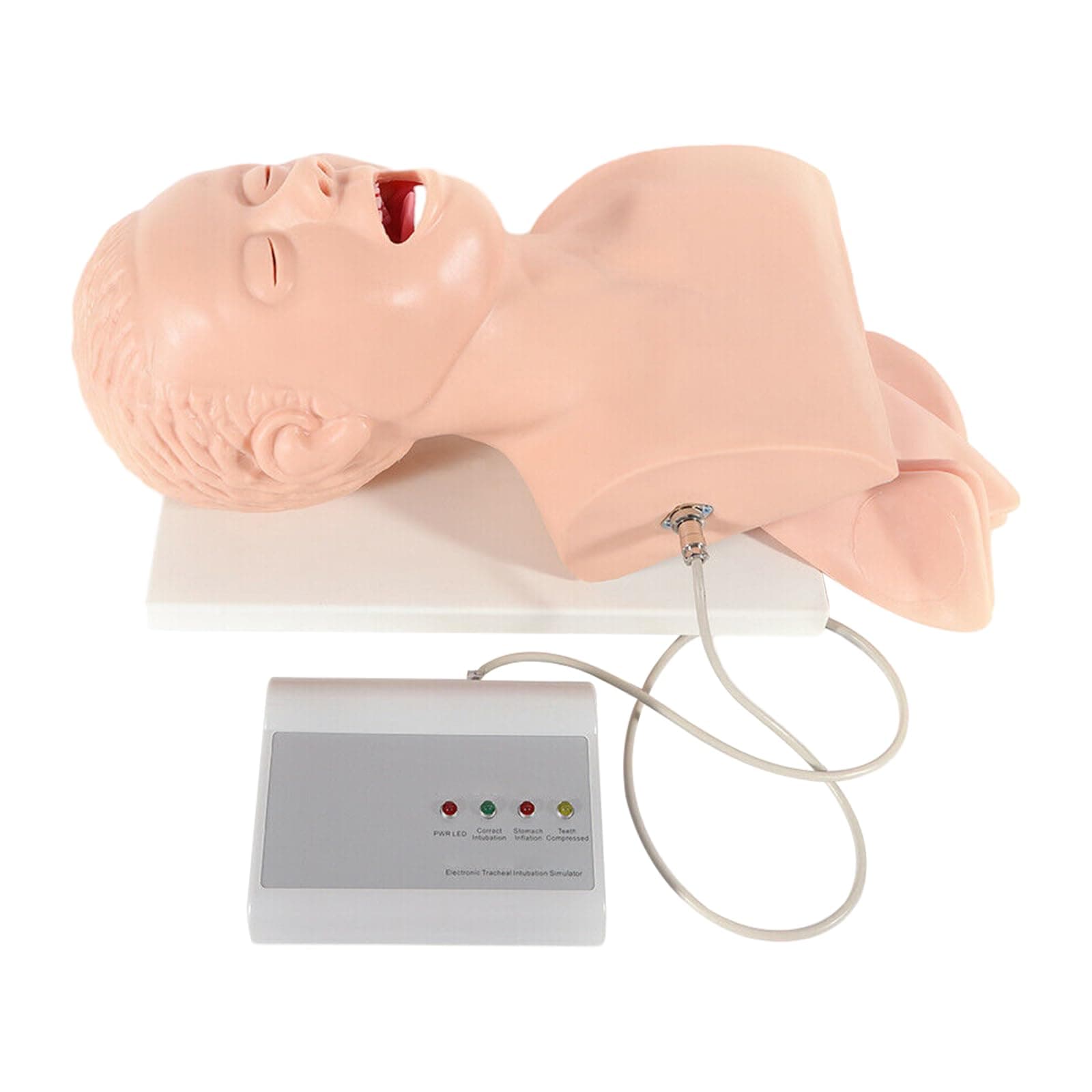 Intubation Manikin Study Teaching Model, Intubation Manikin Study PVC Model Demonstration Training Airway Teaching Model (Adult Model)