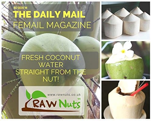 Fresh Whole Thai Young Coconuts - 18 Pack - 100% Pure Raw Coconut Water Straight from The Coconut!