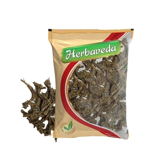 Herbaveda- Osha root 100g | Promotes digestion