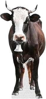 Cow - Life Size Cardboard Cutout Standup People with Support Standee | Animals -