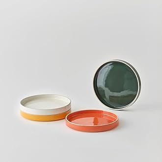 Odense 7.9" Medium Dinner Plates Set of 4 - Ceramic Plates for Dining Serving - For Salad, Dessert, Fruit - Modern & Minimal, Wide Round Design, Stackable - Microwave & Dishwasher Safe (Multi Color)