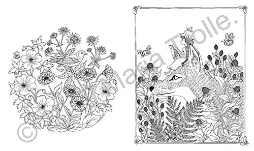 Flora Coloring Book