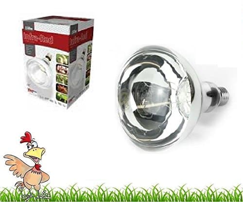 INFRA RED HEAT BULB LAMP CLEAR 250W poultry chick brooder pig livestock puppy Lambing heat lamp