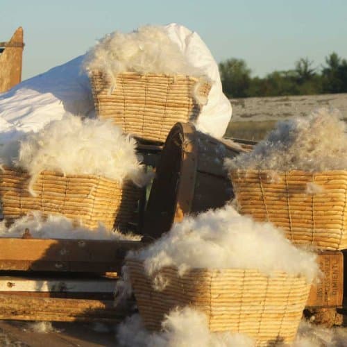 Bulk Fill & Replacement Enviroloft 100% Polyester Down Alternative Filling - 5 Pounds of Enviroloft Down Alternative - DIY