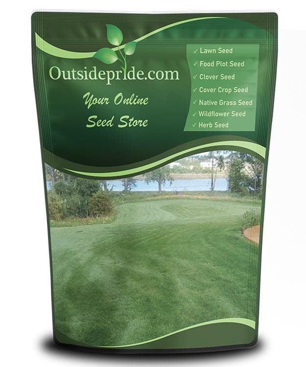 Combat Extreme Fescue Grass Seed (Transition)