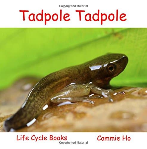 Tadpole Tadpole (Life Cycle Books)