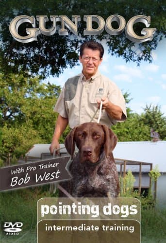Gun Dog Intermediate Training: Pointing Dogs DVD
