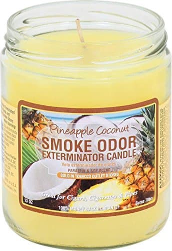 Candle, Pineapple & Coconut - 13 oz
