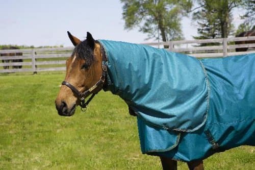 Abrazo Turnout Sheet Neck Cover