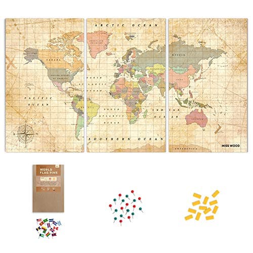 World Map Cork Board kit: Push Pin World Map with Pins World Flags, Food Stickers, for Travelers