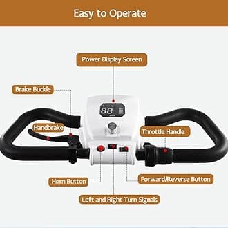 HAOWEIH Electric Golf Cart 4 Wheel Mobility Scooter for Seniors with Storage Box, Farm Load Truck for Seniors and Adults Comes, Courtesy Car