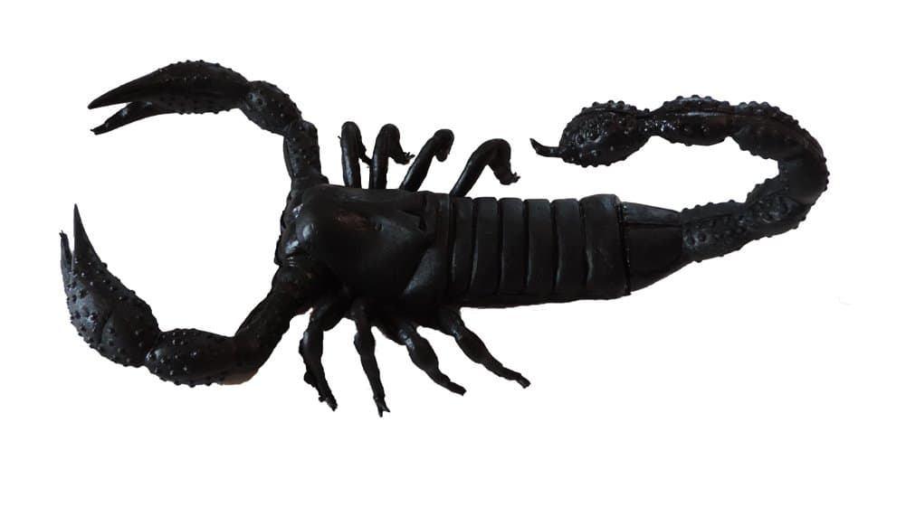 Rubber Black Scorpion Novelty Prop